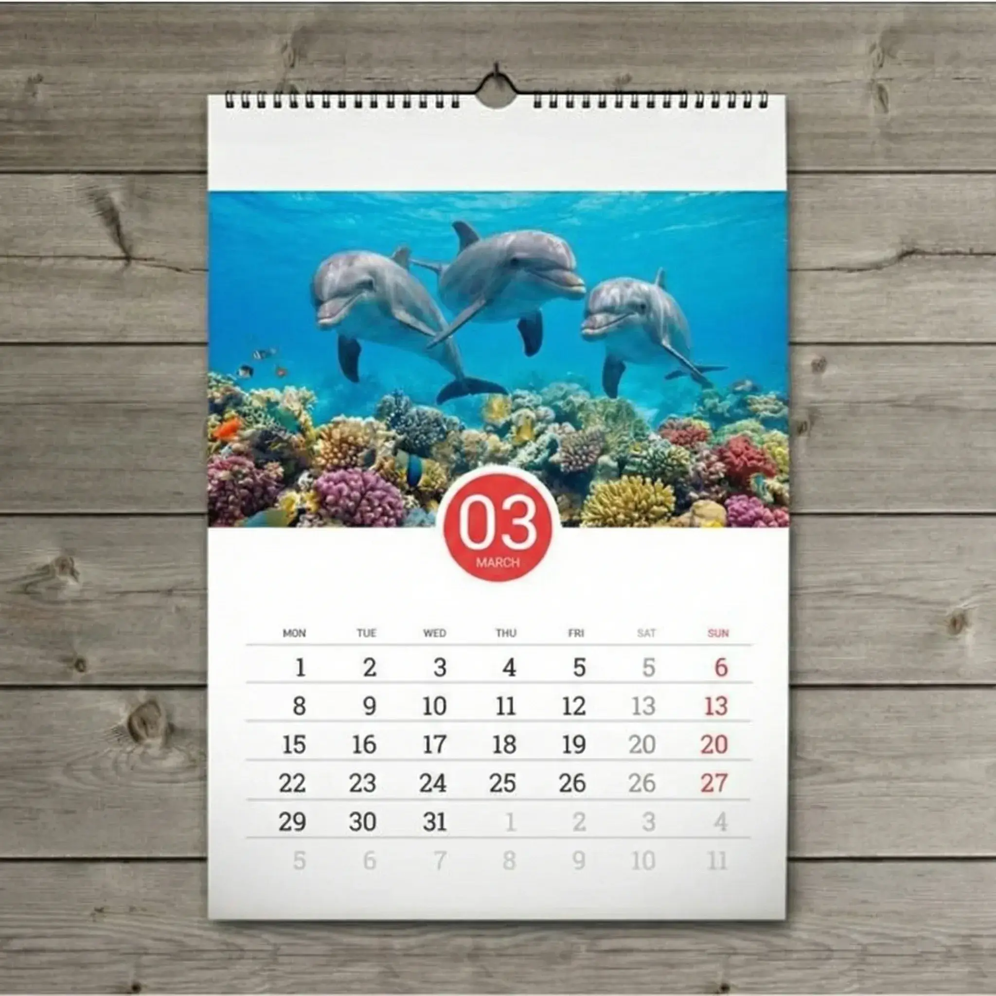 lịch lò xo treo tường