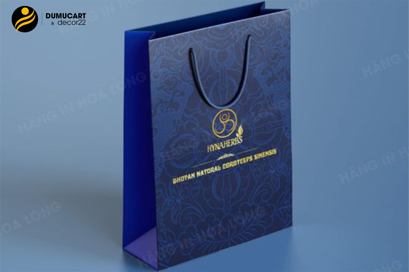 xưởng in túi giấy giá rẻ