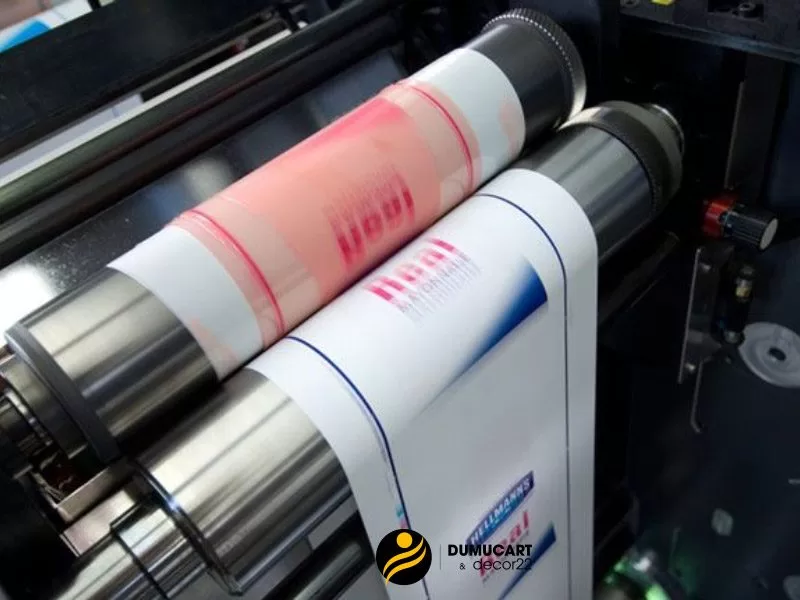 máy chụp bản in flexo