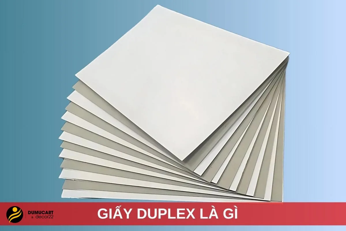 giấy duplex là gì