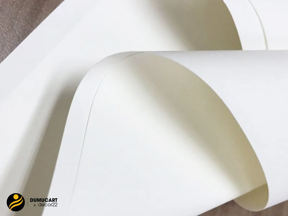 giấy ivory là giấy gì