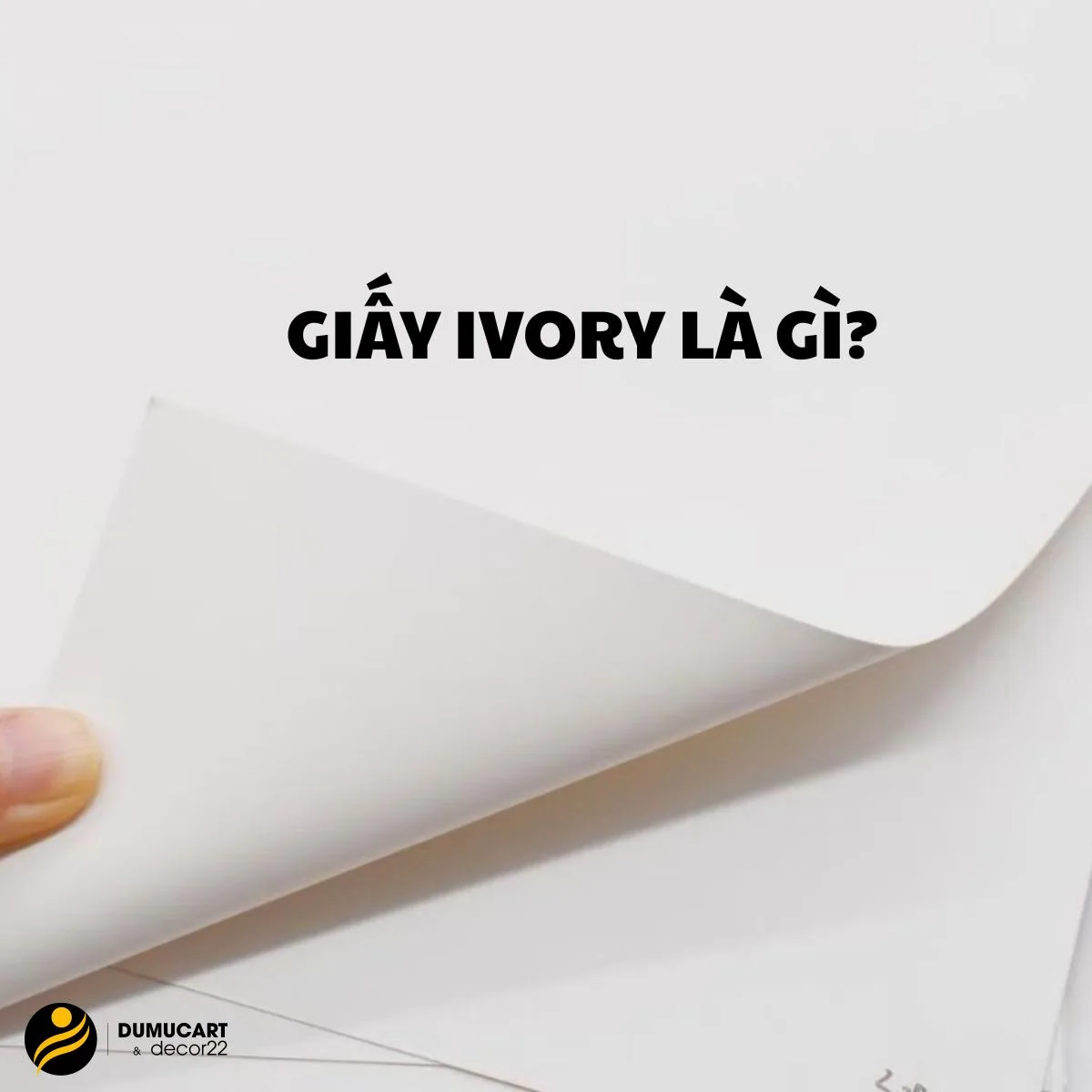 giấy ivory là gì