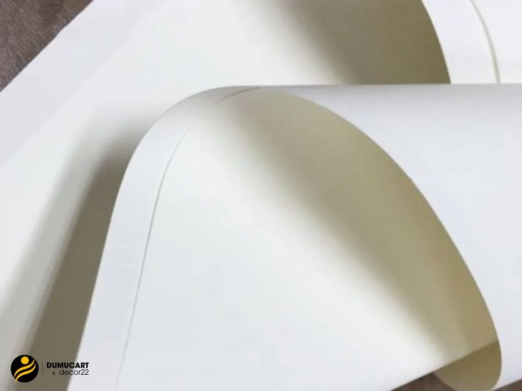 chất liệu giấy ivory