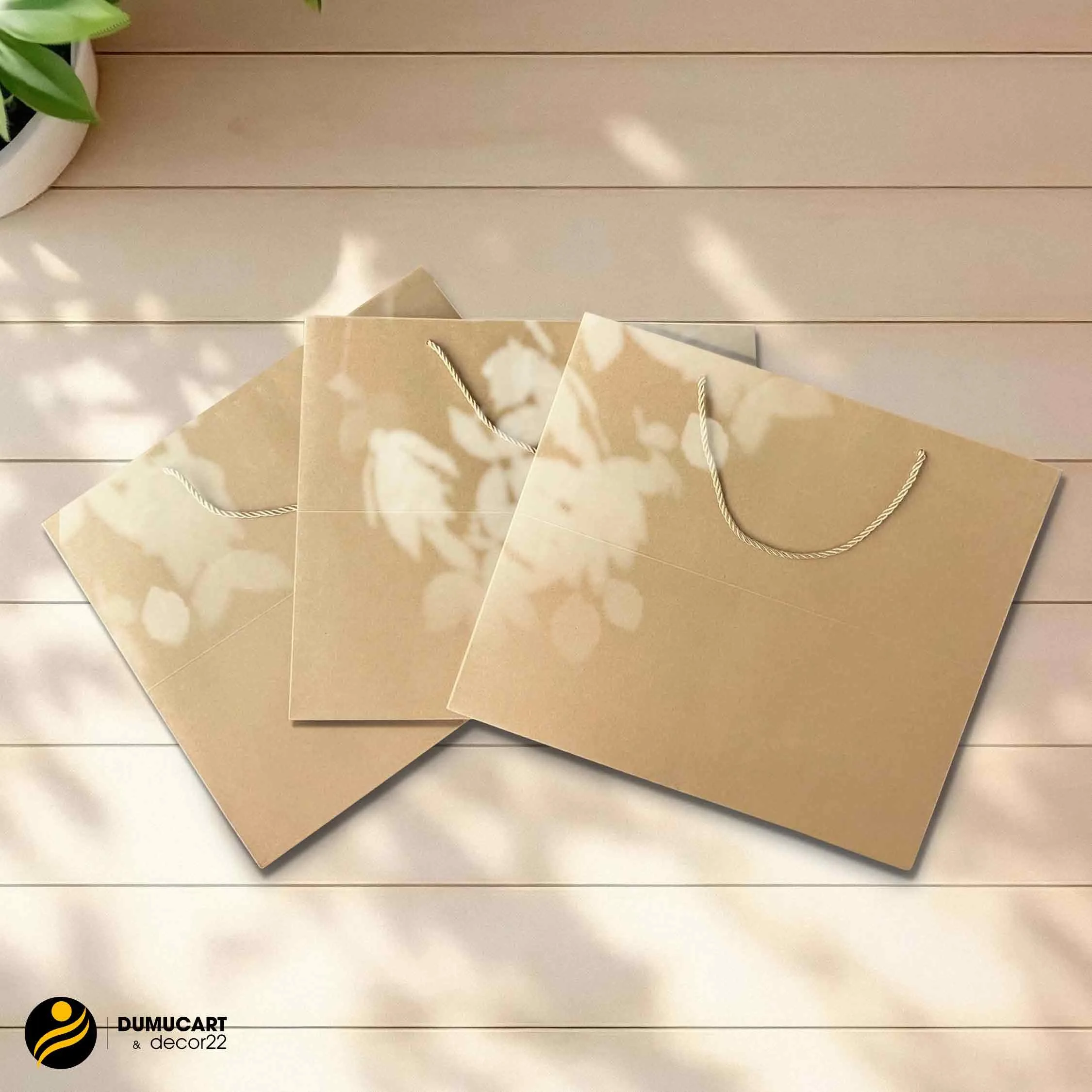túi giấy kraft cỡ lớn