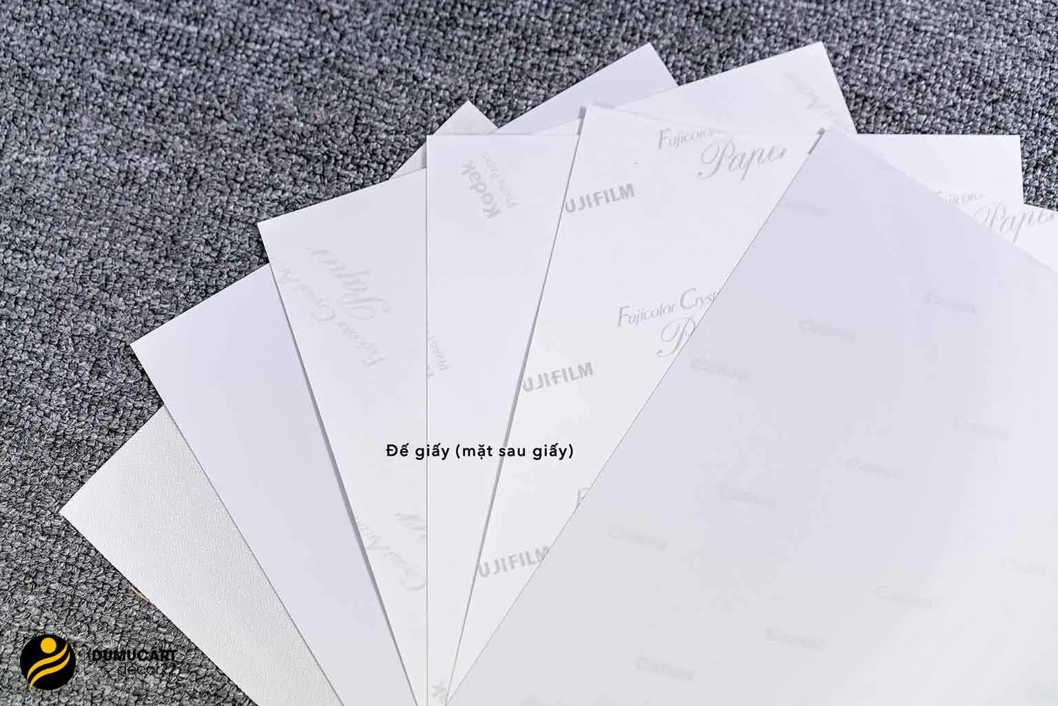 các loại giấy ảnh