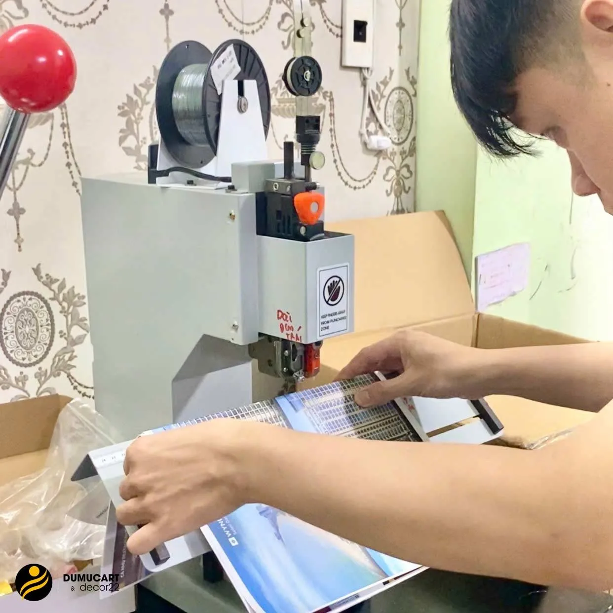 in catalogue đà nẵng