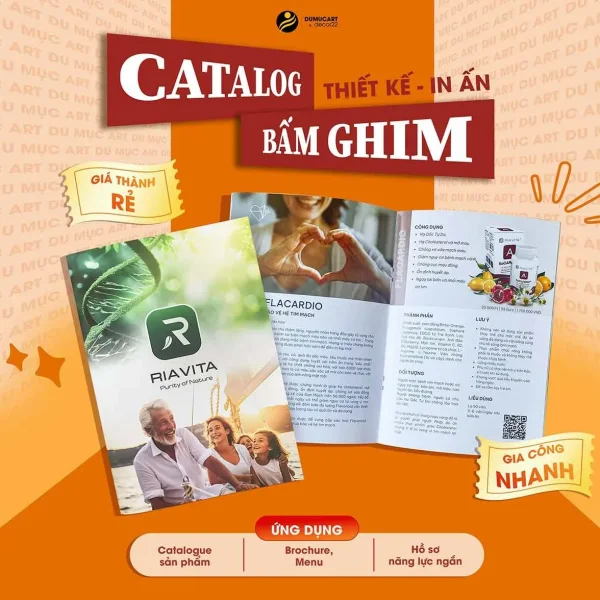 Catalog Ngành Dược Phẩm