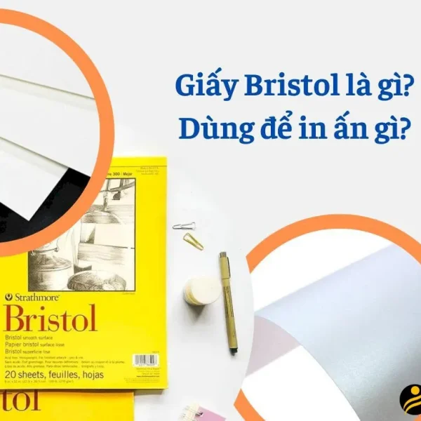 Giấy Bristol Có Ưu Điểm Gì? Tìm Hiểu Về Đặc Điểm, Phân Loại