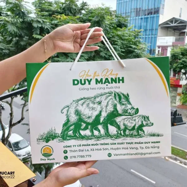 Giấy Ford Kem Là Gì? Ưu Nhược Điểm Và Tính Ứng Dụng