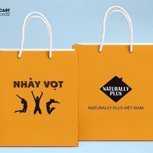 Tham khảo 50+ Mẫu túi giấy đẹp, thiết kế ấn tượng theo xu hướng mới nhất
