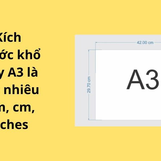 Giấy A3 Bao Nhiêu Cm? Kích Thước Theo Cm, Mm, Inch